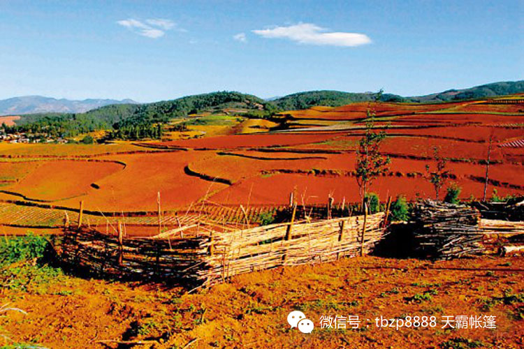 六月美麗的土地，對(duì)的時(shí)間去對(duì)的地方